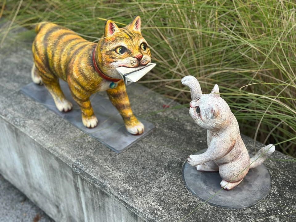 貓咪出沒